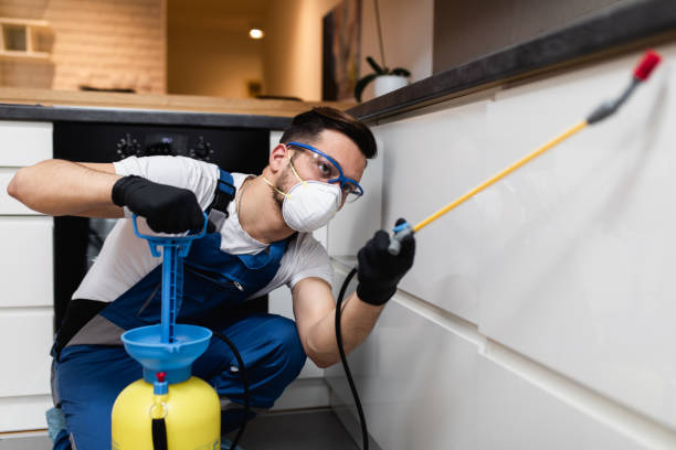 Best Pest Inspection Near Me  in Watergate, FL