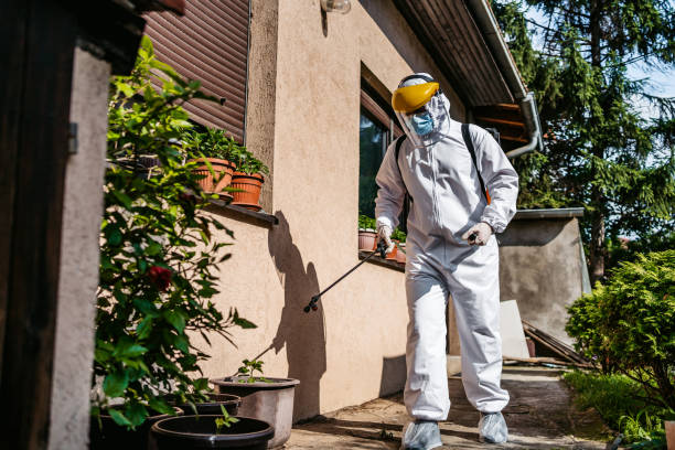 Best Flea Control Services  in Watergate, FL
