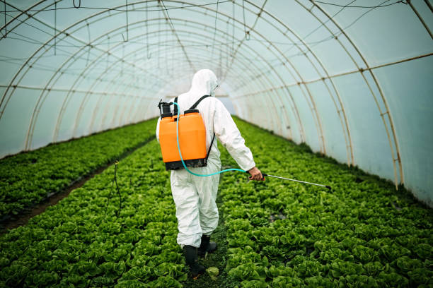 Best Affordable Pest Control Services  in Watergate, FL