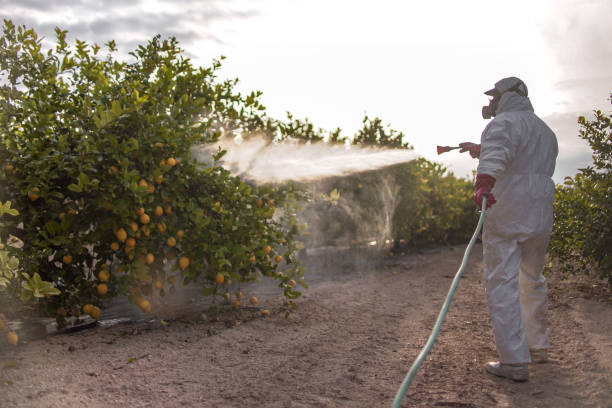 Best Emergency Pest Control  in Watergate, FL