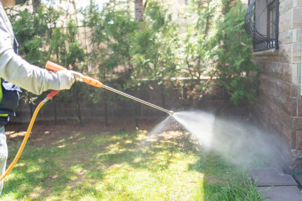 Flea Control Services in Watergate, FL