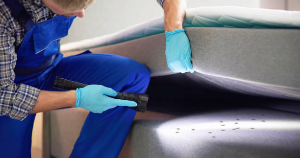 Best Cockroach Control Services  in Watergate, FL