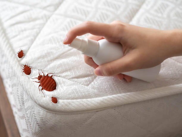 Best Best Pest Control Companies  in Watergate, FL