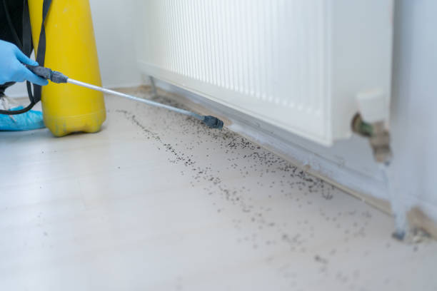 Best Emergency Pest Control  in Watergate, FL