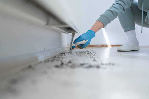 Best Pest Control Near Me in Watergate, FL
