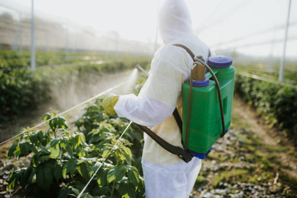 Best Wasp Removal Services  in Watergate, FL